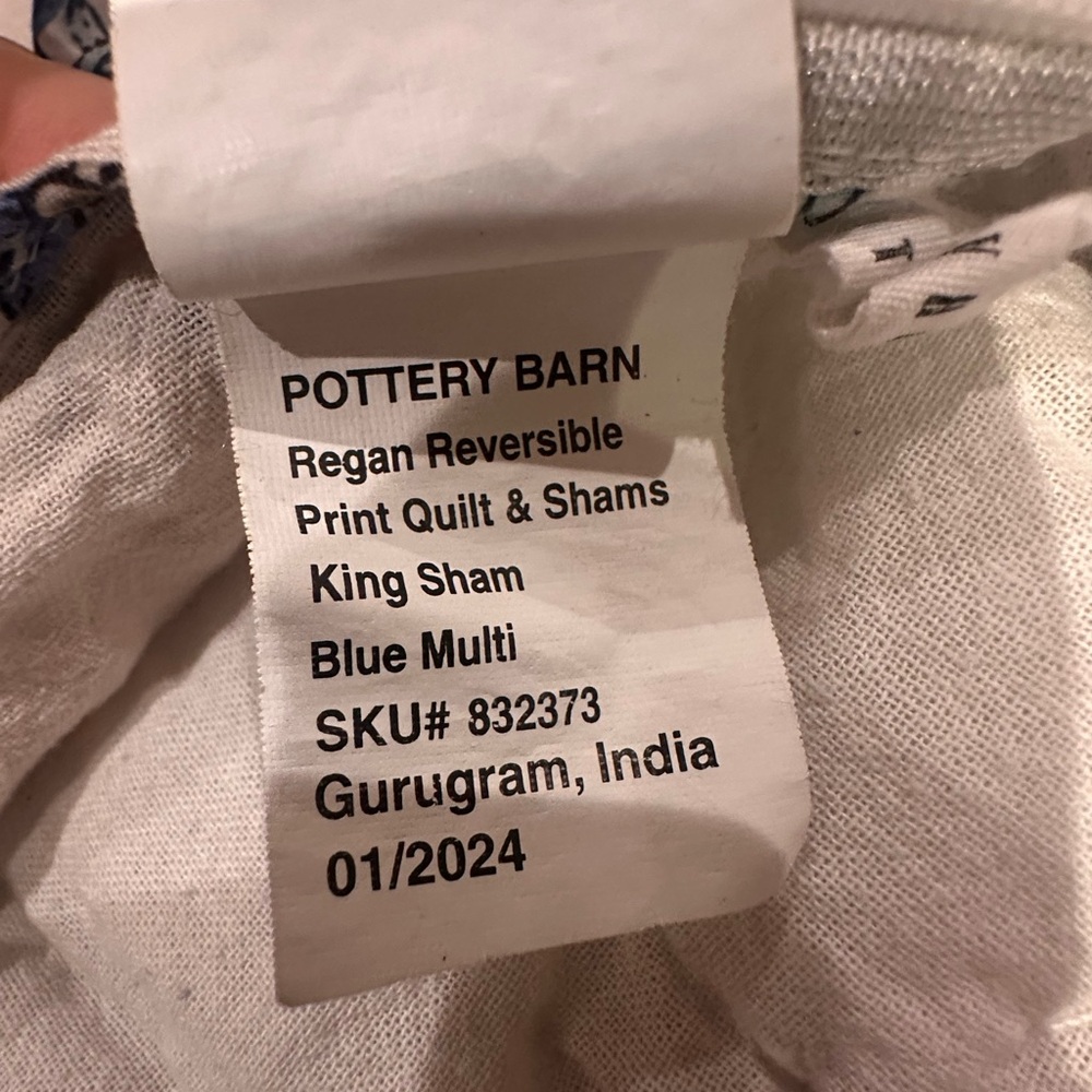 Pair Pottery Barn king shams - Picture 4 of 11